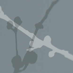 Wallcovering Silhouette Swatch Juniper