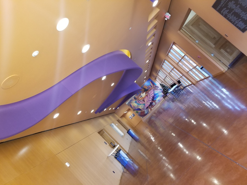 Custom Acoustic Installation - Latino-Cultural-Center-Dallas-Custom-Accoustical-Celing