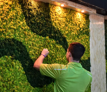 Installing Moss Panels