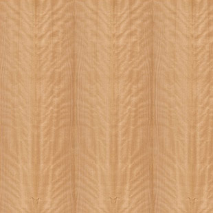 Quiet Core Acoustic Panels Swatch - Euro Beech Plain Cut